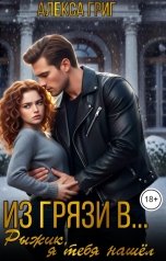 обложка книги Алекса Григ "Из грязи в... Рыжик, я тебя нашёл!"