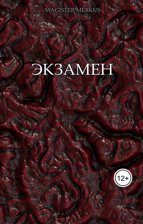 Обложка книги Magister Merkus Экзамен
