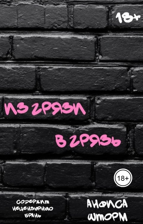 Обложка книги Анфиса Шторм Из грязи в грязь