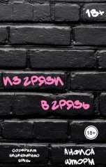 обложка книги Анфиса Шторм "Из грязи в грязь"