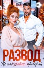 обложка книги София Брайт "Развод. Не подозревай, проверяй"
