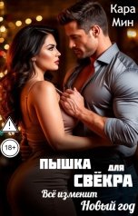 обложка книги Кара Мин "Пышка для свёкра. Всё изменит Новый год"