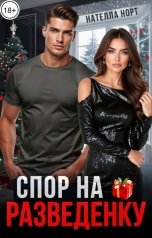 обложка книги Нателла Норт "Спор на разведенку"