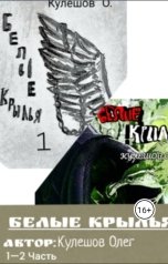 обложка книги bebrafamirovic "Белые крылья"