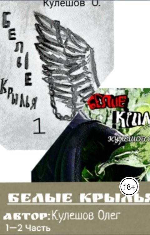 Обложка книги bebrafamirovic Белые крылья