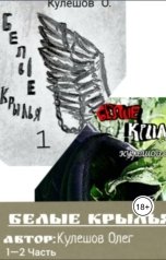 обложка книги bebrafamirovic "Белые крылья"