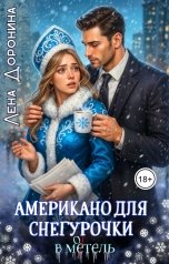 обложка книги Лена Доронина "Американо для Снегурочки в мотель"