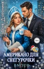 обложка книги Лена Доронина "Американо для Снегурочки в мотель"