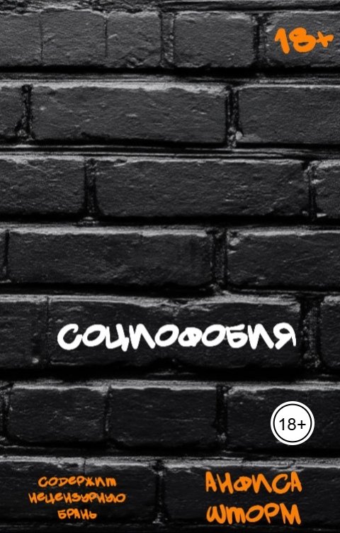 Обложка книги Анфиса Шторм Социофобия