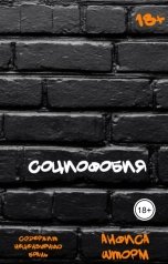 обложка книги Анфиса Шторм "Социофобия"