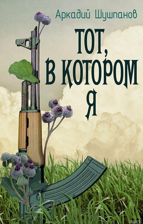 Обложка книги Аркадий Шушпанов Тот, в котором я