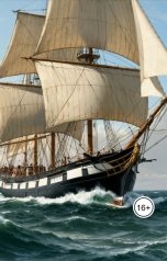 обложка книги Maxim Orlov "Pirates! Neuro music band: симфония стальных ветров"