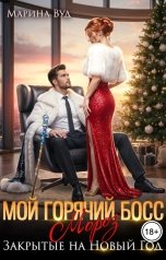обложка книги Марина Вуд "Мой горячий босс Мороз. Закрытые на Новый год"