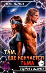 обложка книги Николь Ветреная "Там, где кончается тьма"