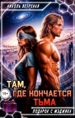 обложка книги Николь Ветреная "Там, где кончается тьма"