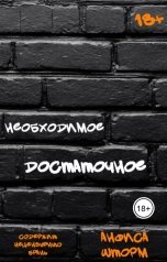 обложка книги Анфиса Шторм "Необходимое достаточное"