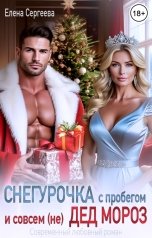 обложка книги Елена Сергеева "Снегурочка с пробегом и совсем (не) Дед Мороз"