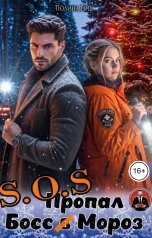 обложка книги Полина Рош "SOS Пропал Босс (в) Мороз"