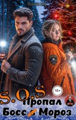 обложка книги Полина Рош "SOS Пропал Босс (в) Мороз"
