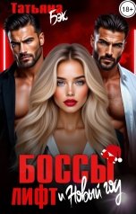 обложка книги Татьяна Бэк "Боссы, лифт и Новый год"