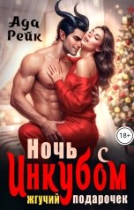 обложка книги Ада Рейк "Ночь с инкубом. Жгучий подарочек"