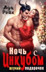 обложка книги Ада Рейк "Ночь с инкубом. Жгучий подарочек"