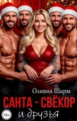 обложка книги Оливия Шарм "Санта-Свёкор и друзья"