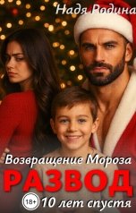 обложка книги Надя Родина "Возвращение Мороза. Развод. 10 лет спустя"