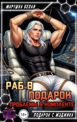 обложка книги Марушка Белая "Раб в подарок. Проблемы в комплекте"