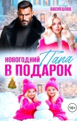 обложка книги Аня Васнецова "Новогодний папа в подарок"
