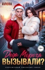 обложка книги Avrora "Деда Мороза вызывали?"