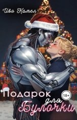 обложка книги Иво Камел "Подарок для Булочки"