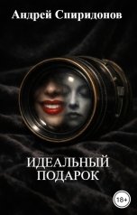 обложка книги Андрей Спиридонов "ИДЕАЛЬНЫЙ ПОДАРОК"