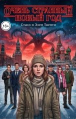 обложка книги Стаси и Элен Твенти "Очень странный Новый год"