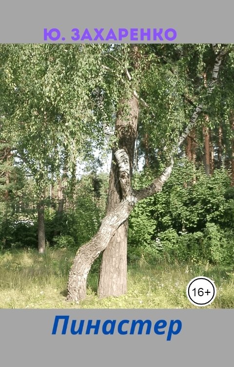 Обложка книги Юрий Захаренко Пинастер