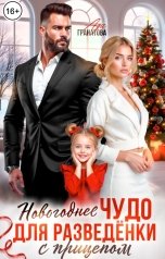 обложка книги Ада Гранатова "Новогоднее чудо для разведёнки с прицепом"