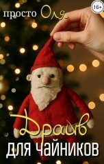 обложка книги просто Оля "Драйв для чайников"