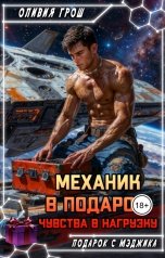 обложка книги Оливия Грош "Механик в подарок, чувства в нагрузку"