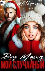 обложка книги Ия Томина "Мой случайный Дед Мороз"