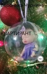 обложка книги Вероника Чуркина "Квартирант."