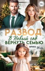 обложка книги Ирина Шейн "Развод. В Новый Год вернуть семью"