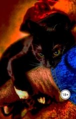 обложка книги Изсекающий Исекайщик "Привет, я твой котик"