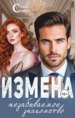 обложка книги Стася Сойка "Измена: незабываемое знакомство"