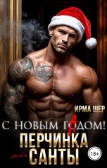 обложка книги Ирма Шер "С Новым гАдом! Перчинка для Санты"