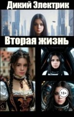 обложка книги Дикий Электрик "Новая жизнь"