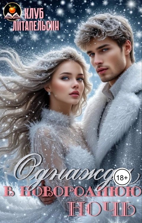 Обложка книги Клуб Литапельсин Однажды в новогоднюю ночь