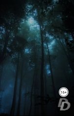 обложка книги Даниелла Донская "Безвременье"