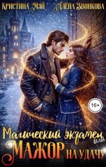 обложка книги Алена Звонкова, Кристина Мэй "Магический экзамен или мажор на удачу"