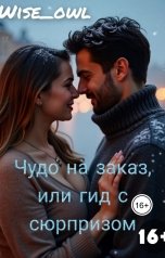 обложка книги Wiseowl "Чудо на заказ, или гид с сюрпризом"