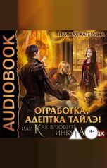 обложка книги Катерина Темная "Отработка, адептка Тайлэ! или Как влюбить инкуба"